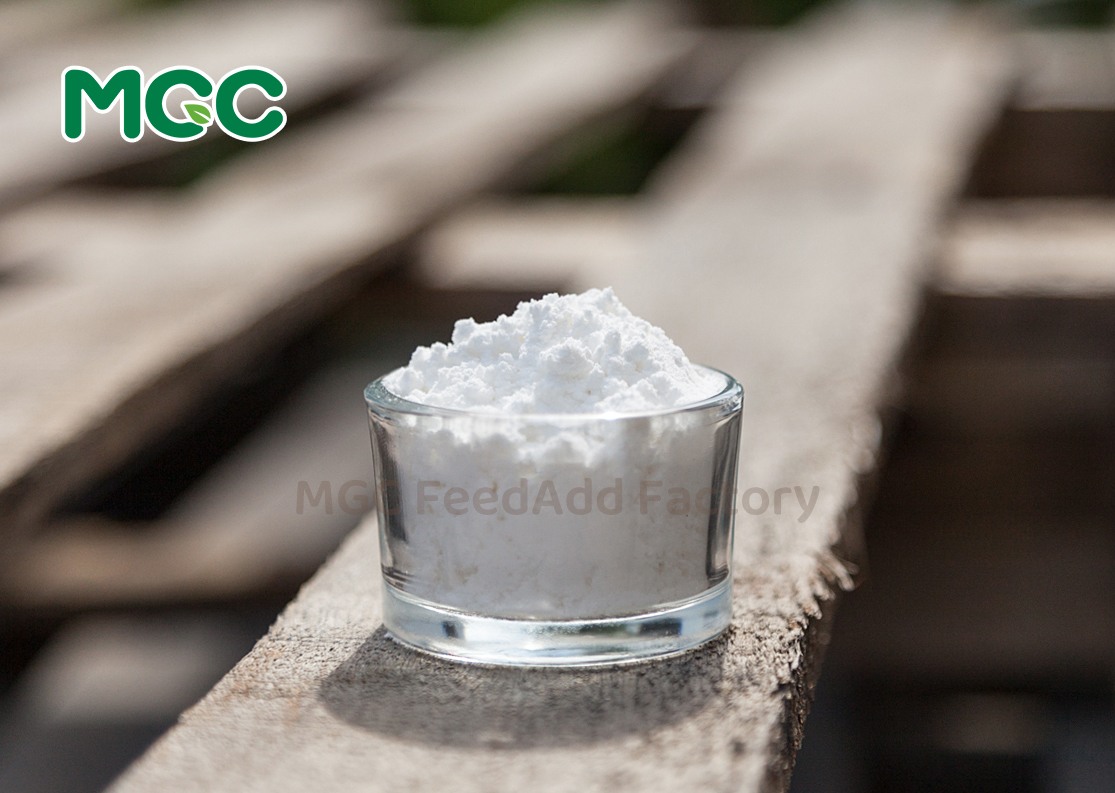 Thiamine-Nitrate (Vitamin B1)